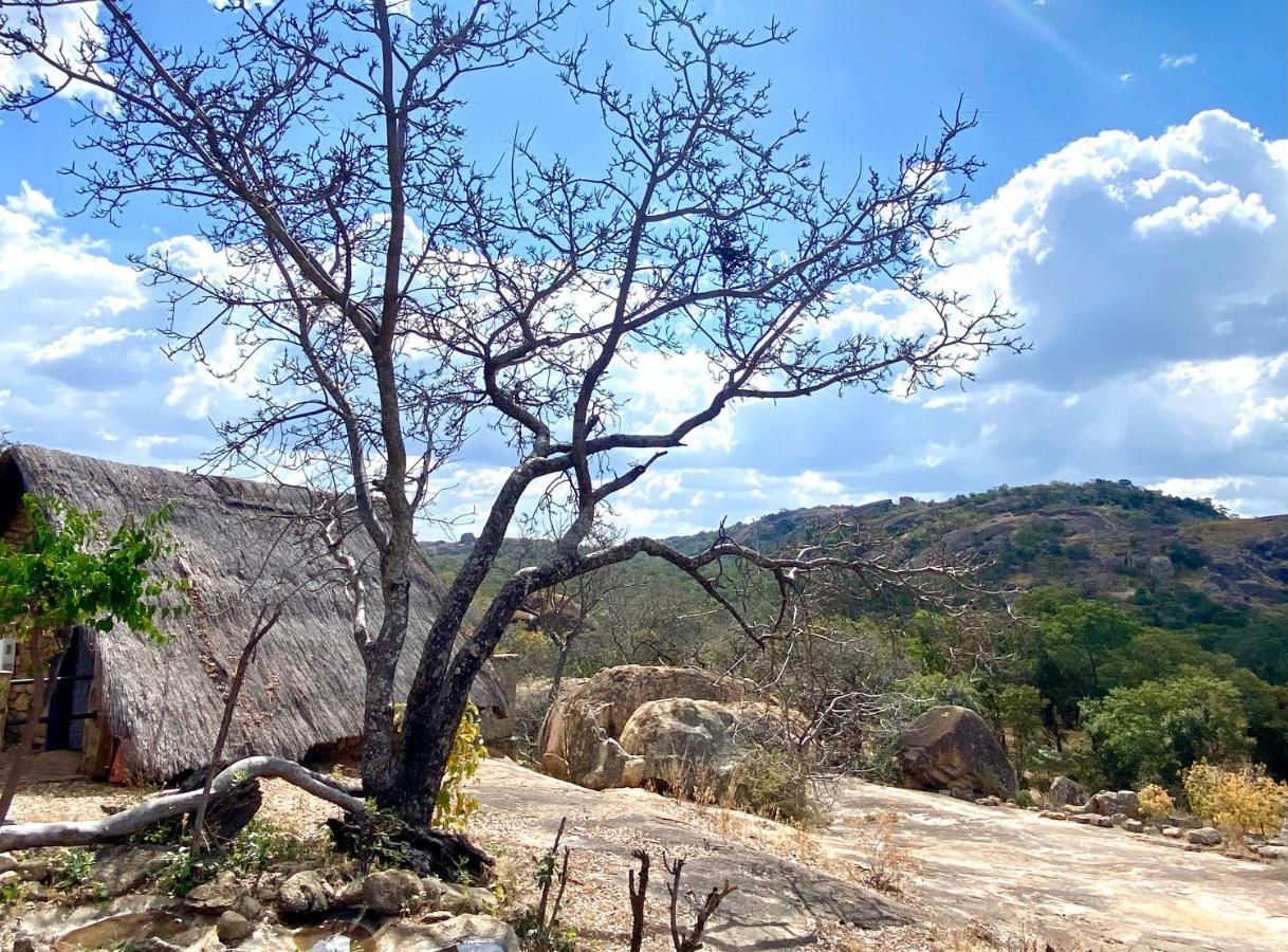 فيلا Big Cave Camp Matopos المظهر الخارجي الصورة